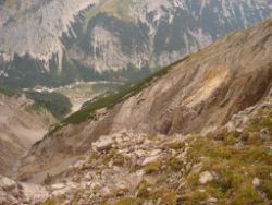 2013-09-08_6Falkenh-Steinfalk (185).JPG